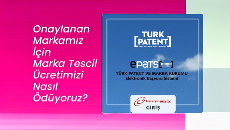Girişimimiz İçin Onaylanan Marka Tescil Ücretini Ödüyoruz