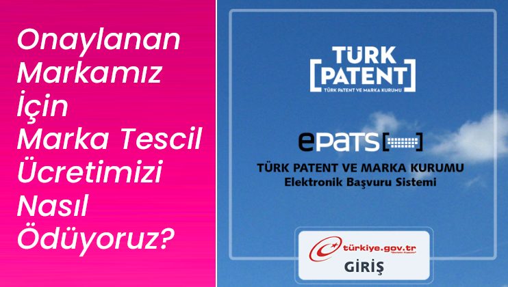 Girişimimiz İçin Onaylanan Marka Tescil Ücretini Ödüyoruz